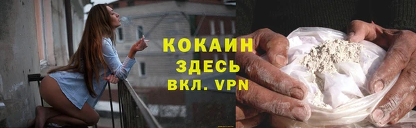 кокс Арсеньев
