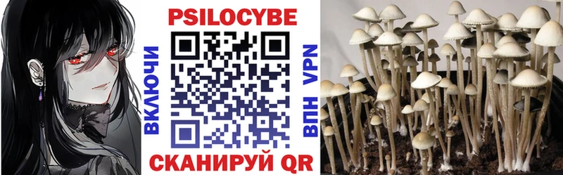 Псилоцибиновые грибы GOLDEN TEACHER  ОМГ ОМГ зеркало  Макарьев 